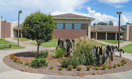 Center Court Garden Toward Administration